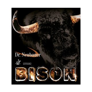 Dr. Neubauer | Bison