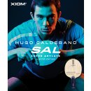 Xiom | Hugo Calderano SAL konkav