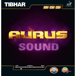 Tibhar | Aurus Sound schwarz/2,1mm