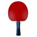 Butterfly | Timo Boll Sapphire
